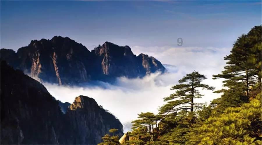 探索相亲后怎样才算确定恋爱关系你知道吗?话题,发现有趣的见解-相亲后怎样才算确定恋爱关系你知道吗?红迪网